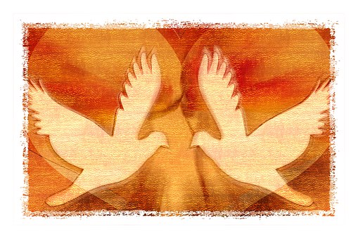 02 peace dove 588081 340