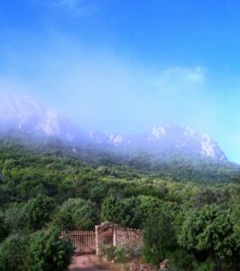 Tor und Berge im Nebel 1200x1353 1 600x677 1