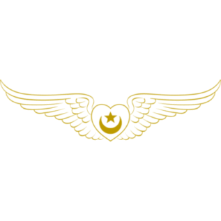 cropped-Inayatiyya_favicon.gif