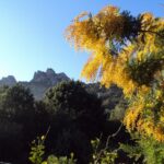 Cala Jami Sardinia Derwisch-Drehen im Licht der Einheit mit Fatimabi 34 2013 Feb strahlenderMorgen 062 768x576 1