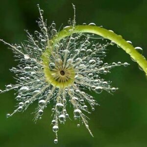 MagnetismBalanceAndLight