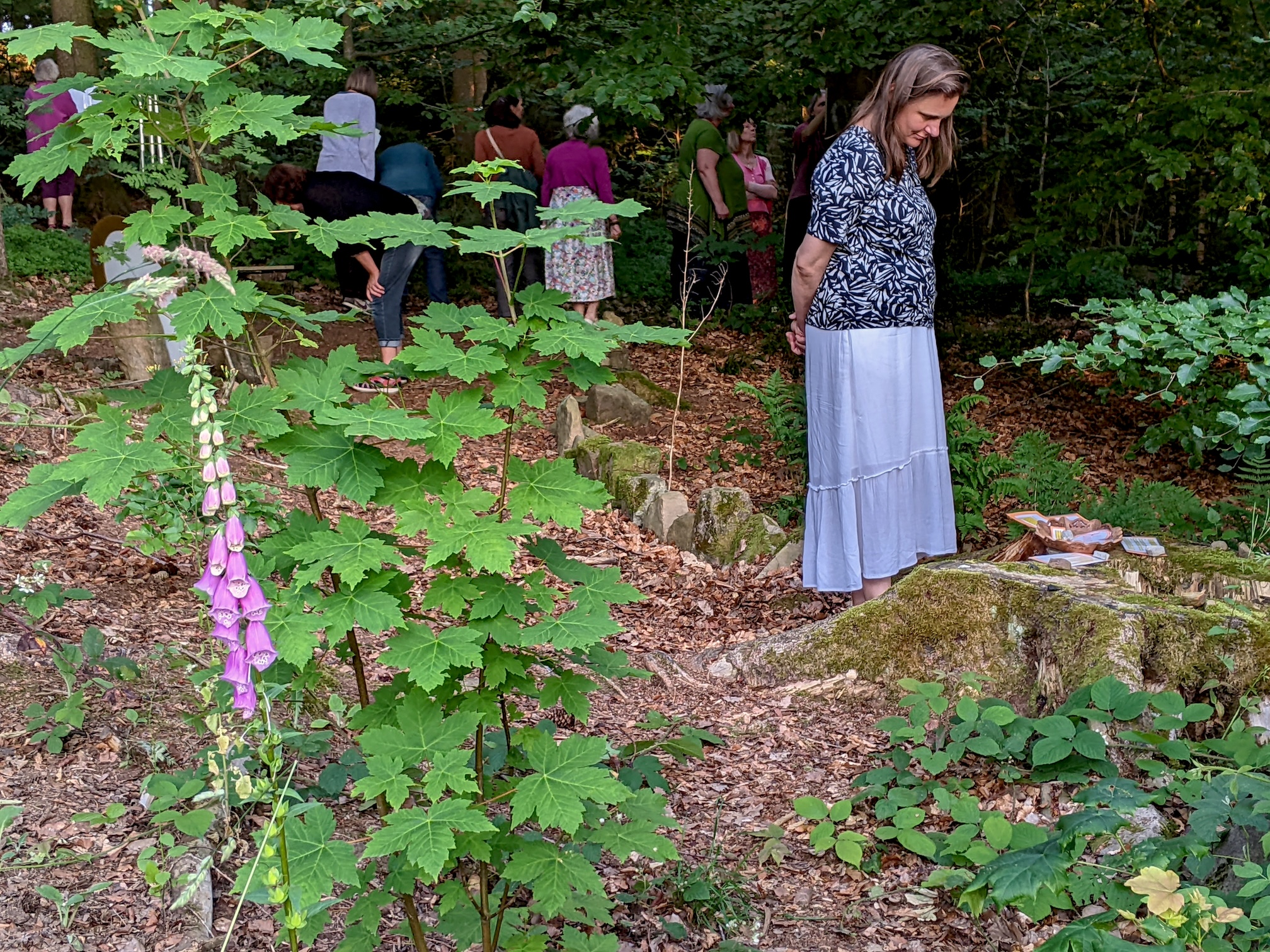 Ein Sommerfest der Fülle 6 Kontemplations-Stationen der 7 Zweige