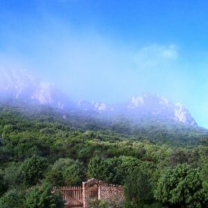 Tor und Berge im Nebel 800x902 1